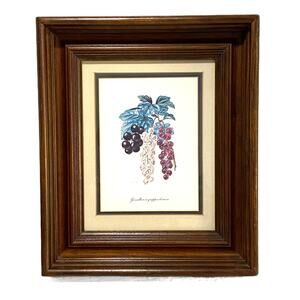 Botanical Lithograph Print Framed in Shadowbox Deep Walnut Solid Wood Frame